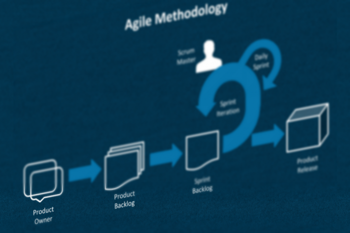 Transitioning to agile development.