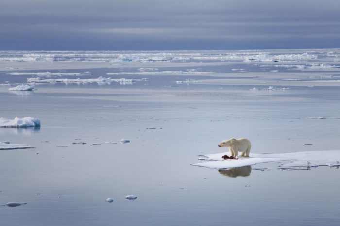 Houston, we have a problem; The Arctic ice is melting!!!